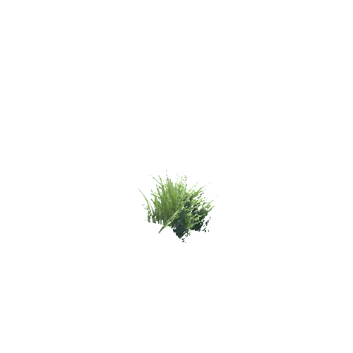 SM_Grass_V1 Variant